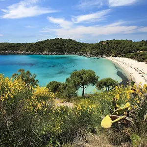 Appartamento Marea, Fetovaia